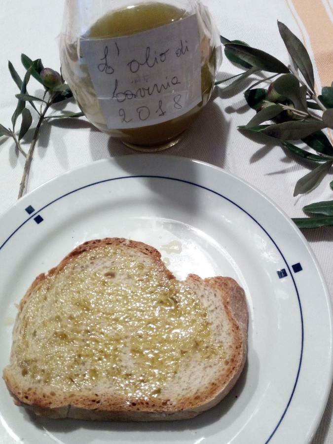Apartament A Casa Di Lavinia Quarrata Zewnętrze zdjęcie
